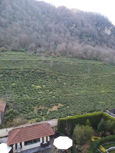 عکس هتل رسپینا لاهیجان