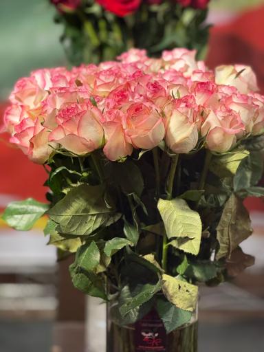 عکس گل سمنگانی