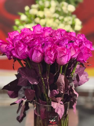 عکس گل سمنگانی