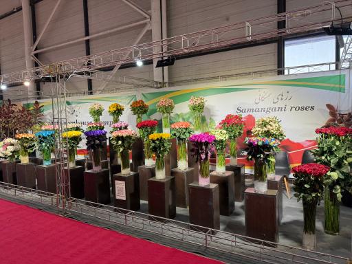 عکس گل سمنگانی