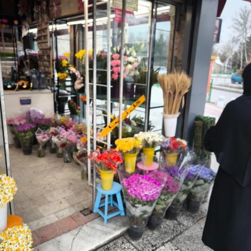 عکس گل فروشی زیبا
