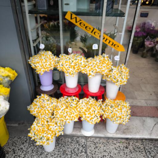 عکس گل فروشی زیبا