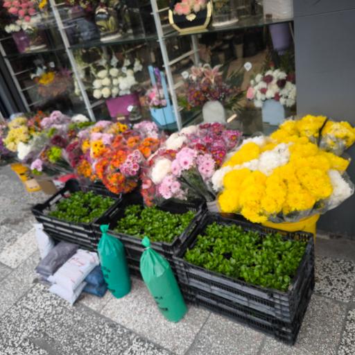 عکس گل فروشی زیبا