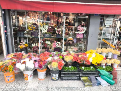 عکس گل فروشی زیبا