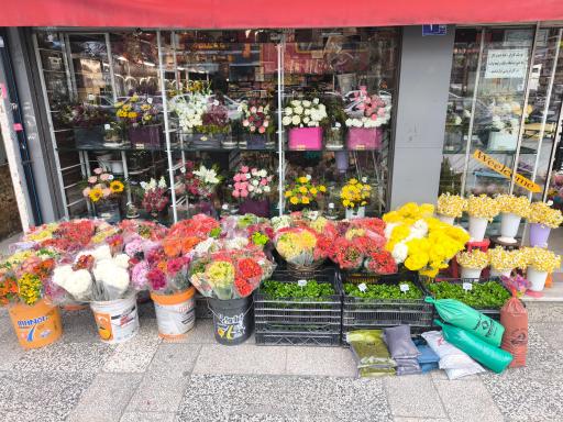 عکس گل فروشی زیبا