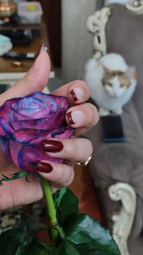 عکس سالن زیبایی الف