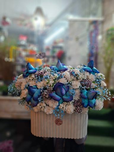 عکس گلسرای ژیوا