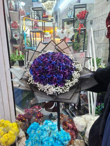 عکس گلسرای ژیوا