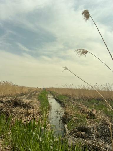 عکس تالاب مصنوعی  عشق آباد