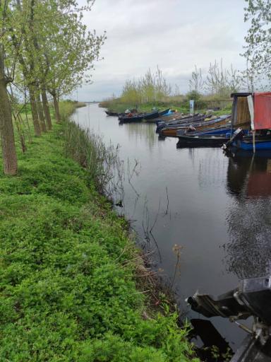 عکس اسکله قایق سواری تالاب