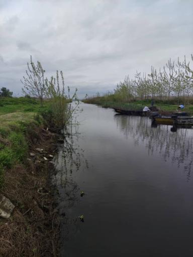 عکس اسکله قایق سواری تالاب