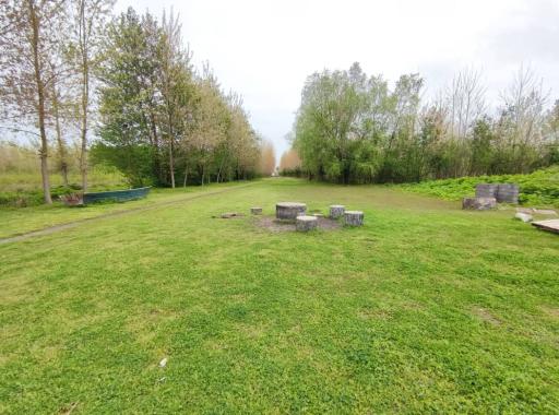 اسکله قایق سواری تالاب