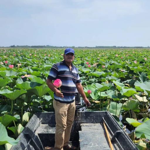 اسکله قایق سواری تالاب