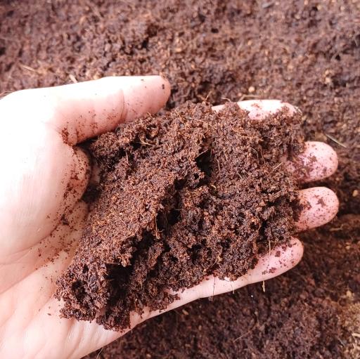 عکس آریا گل