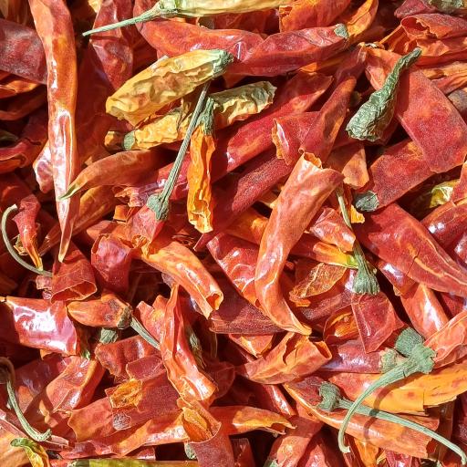 عکس آریا گل