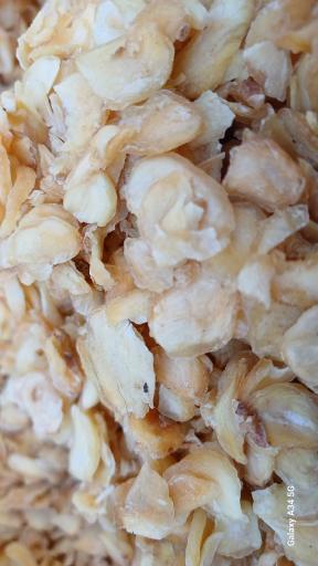 عکس آریا گل