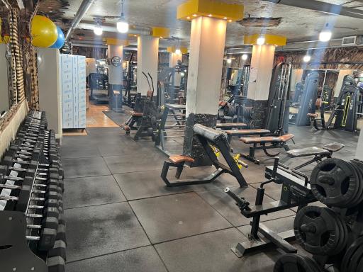 عکس باشگاه بدنسازی استایل برتر