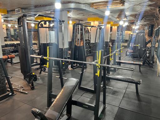 عکس باشگاه بدنسازی استایل برتر