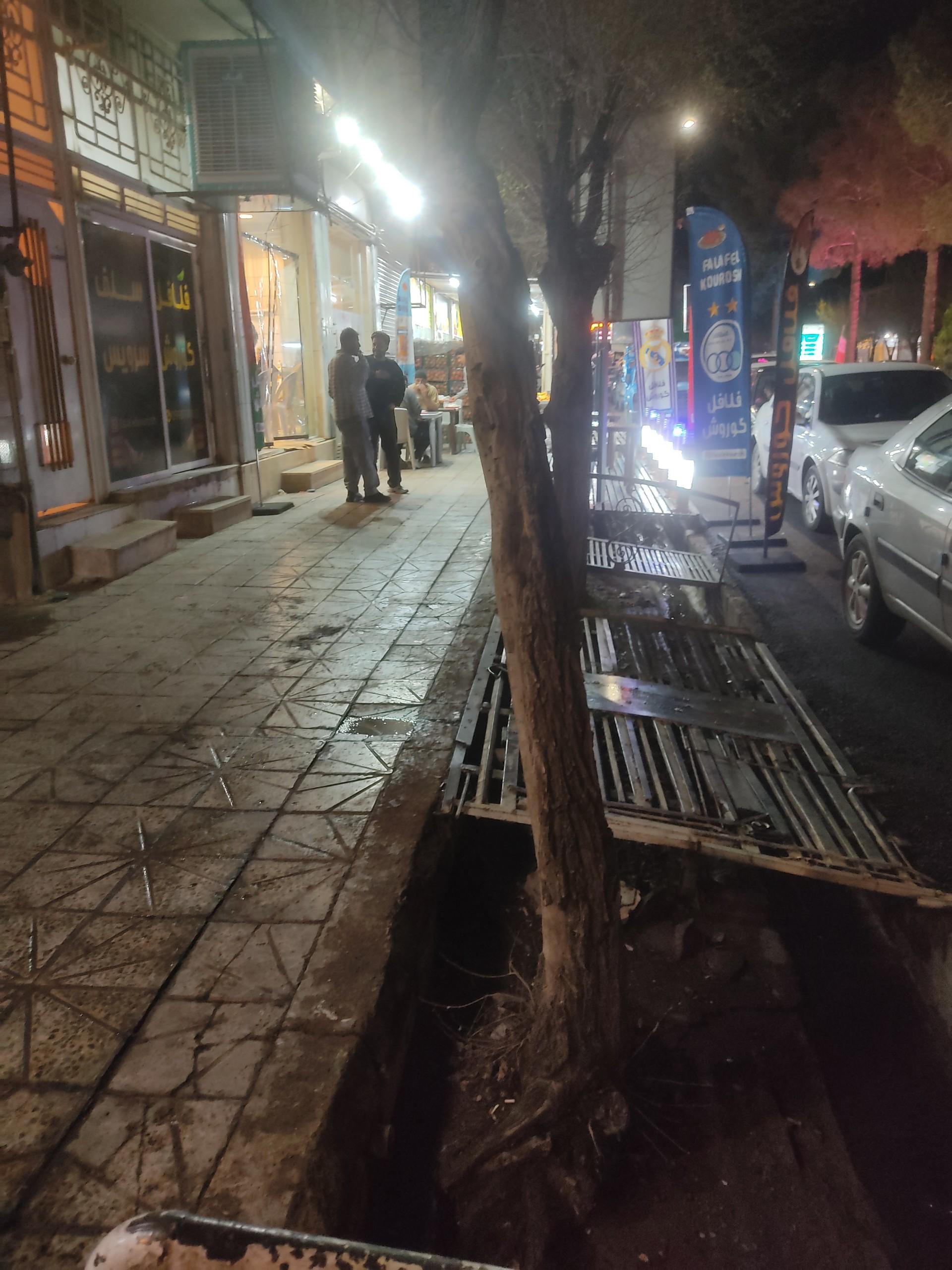 عکس فلافل کور,ش