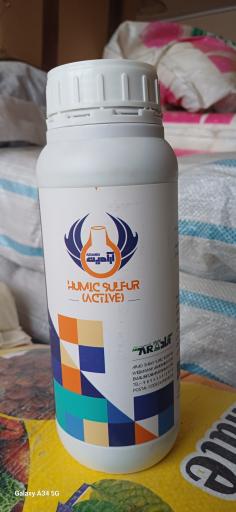 عکس آریا گل