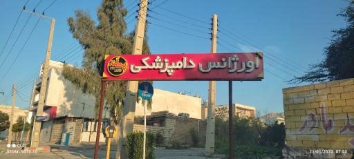 عکس اورژانس حیوانات