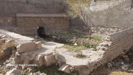 عکس چنار چشمه