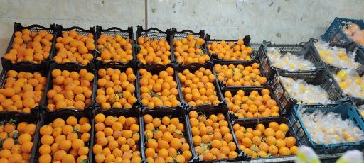 عکس میوه فروشی برادران رحمانی 