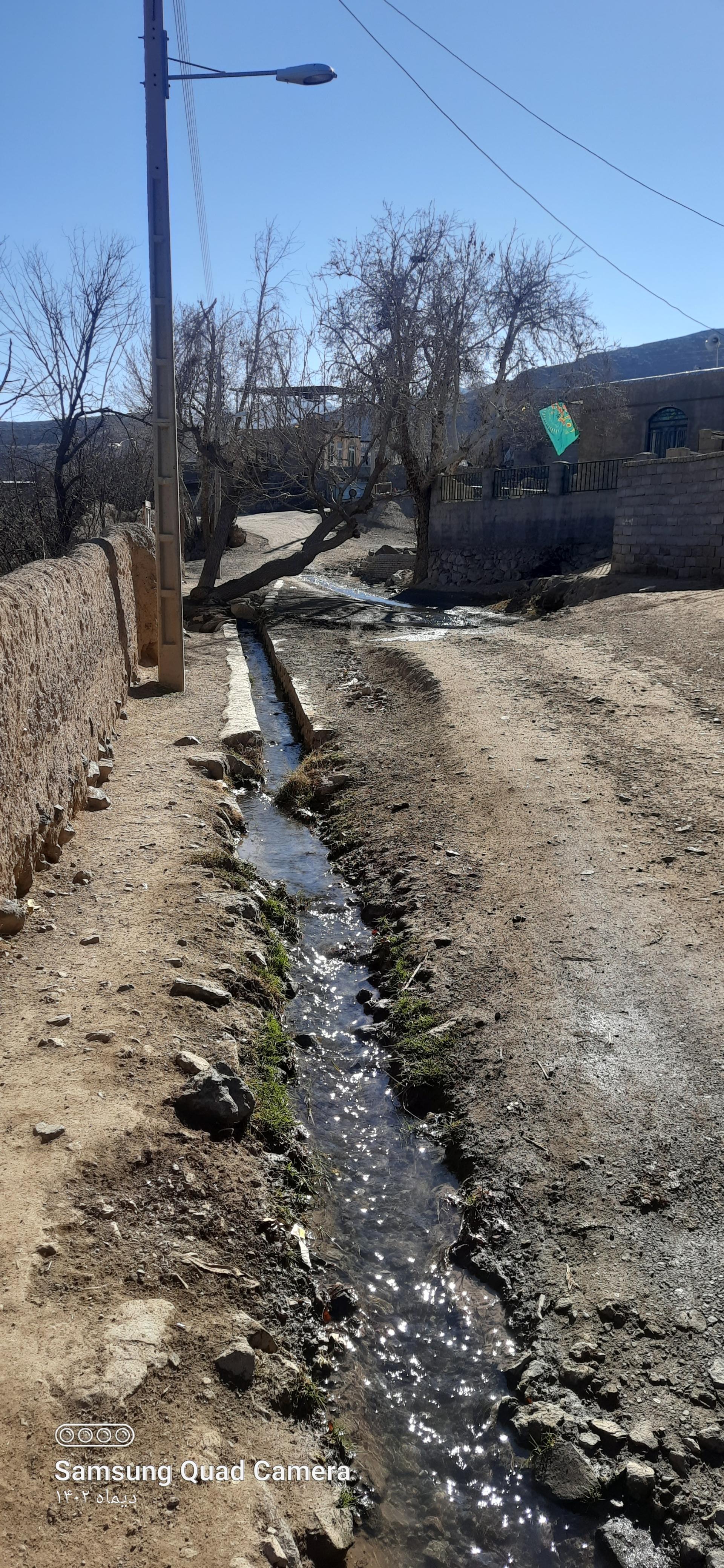 عکس چنار چشمه