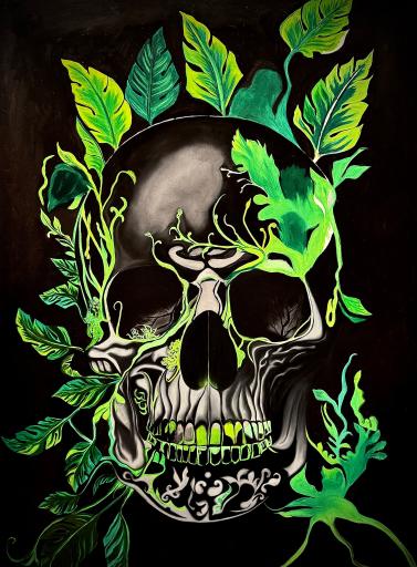 عکس آموزشگاه لوتوس