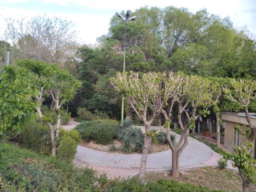 عکس بوستان انارستان