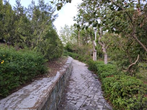 عکس بوستان انارستان