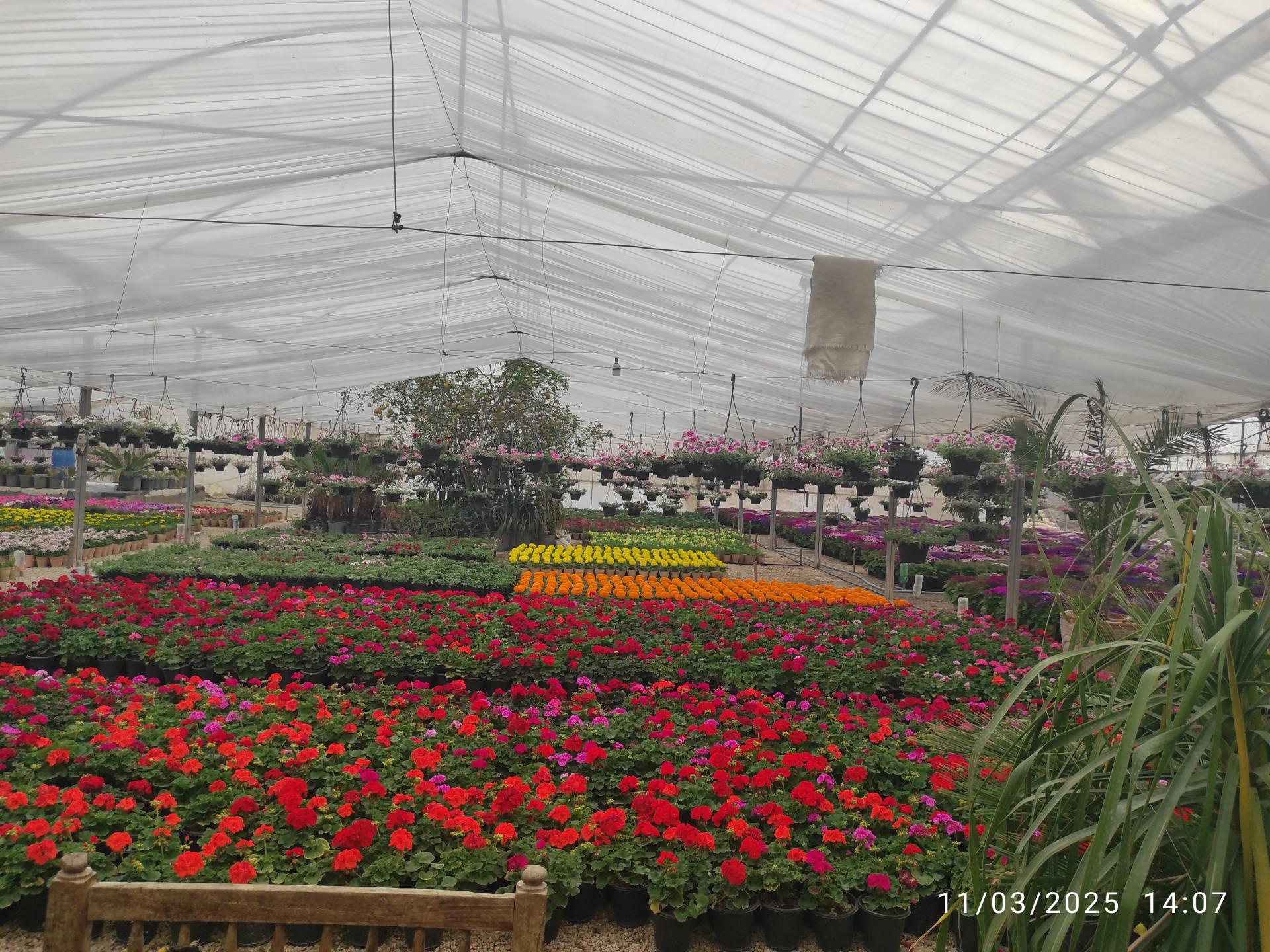 عکس گلخانه کامران