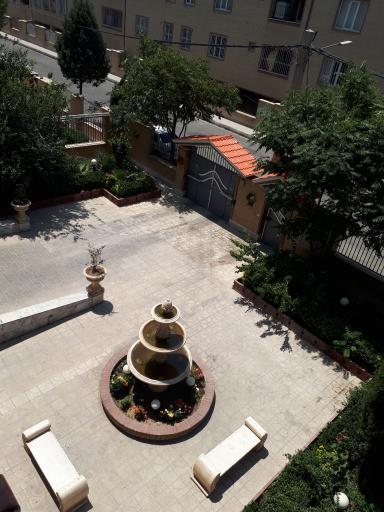 عکس مجتمع یاس