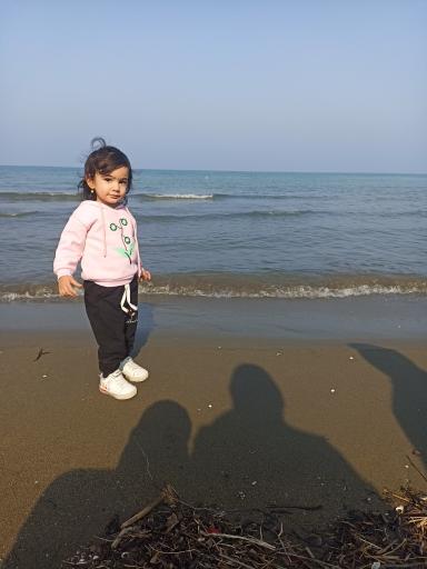 عکس ساحل شهرداری