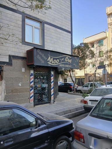 عکس پیرایش موکات