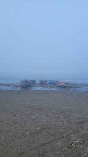 عکس ساحل شهرداری