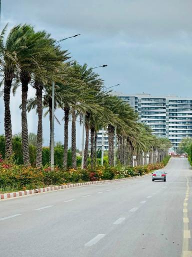 عکس برج مسکونی فروردین