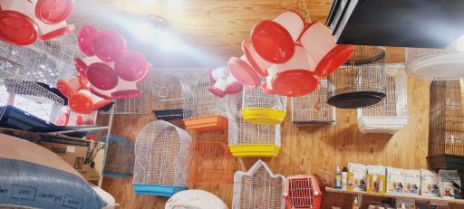 عکس فروشگاه خوراک دام و طیور اصغری