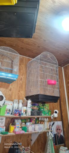 عکس فروشگاه خوراک دام و طیور اصغری