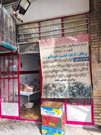 عکس فروشگاه نخل و بهار نارنج