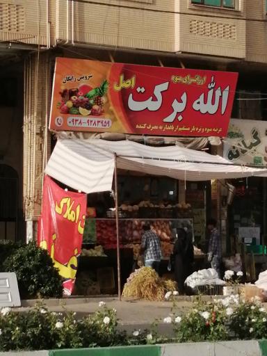عکس ارزانسرای میوه برکت
