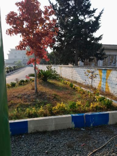 عکس دانشگاه فن آوری نوین