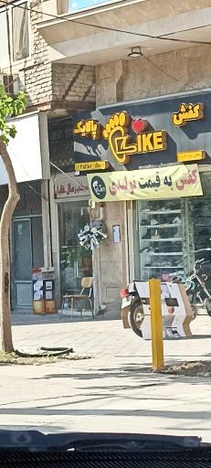 عکس کفش پالایک