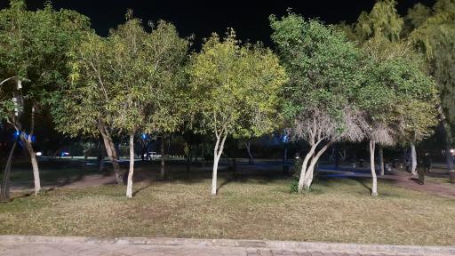 عکس پارک شهدای بن مانع