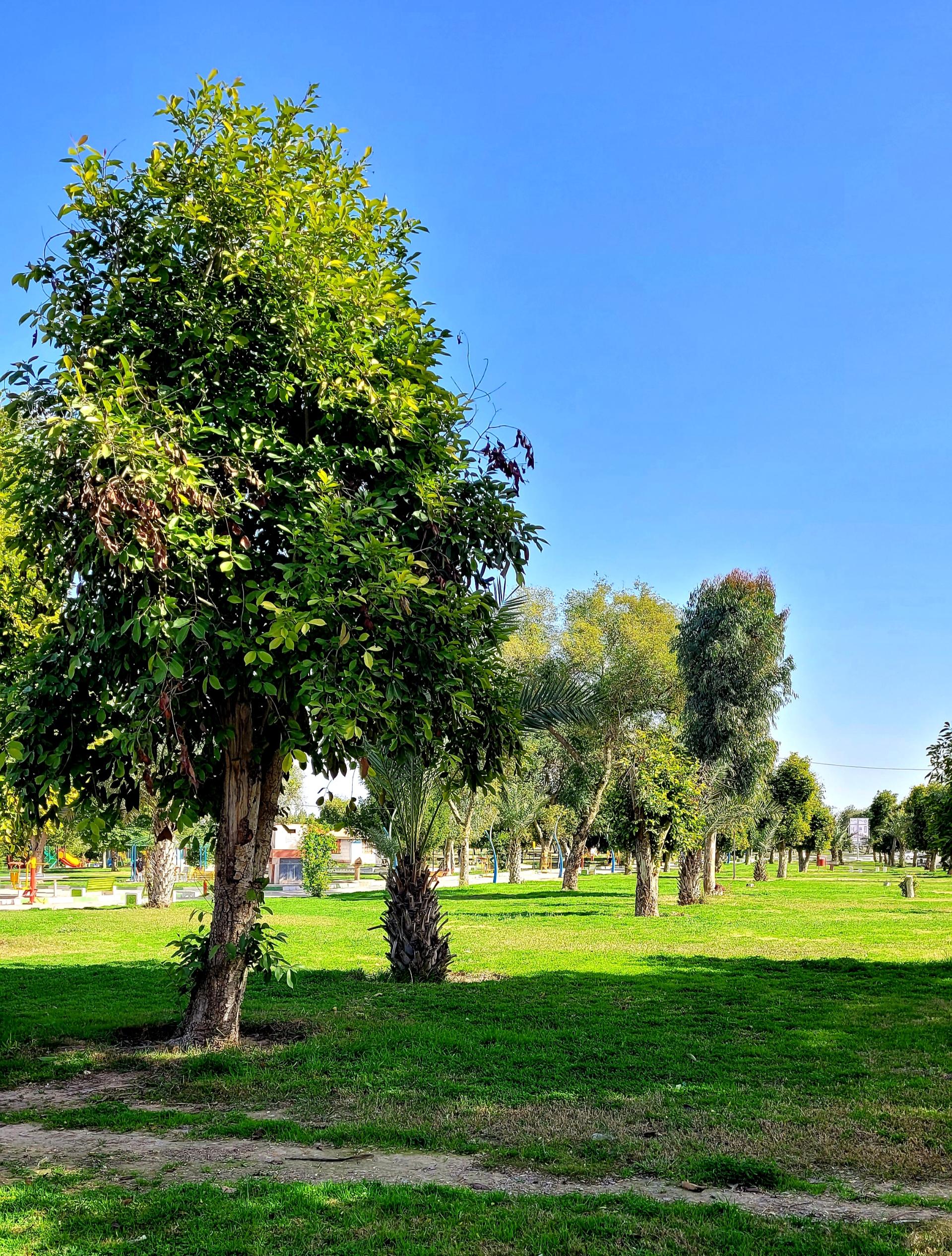 عکس بوستان دولت