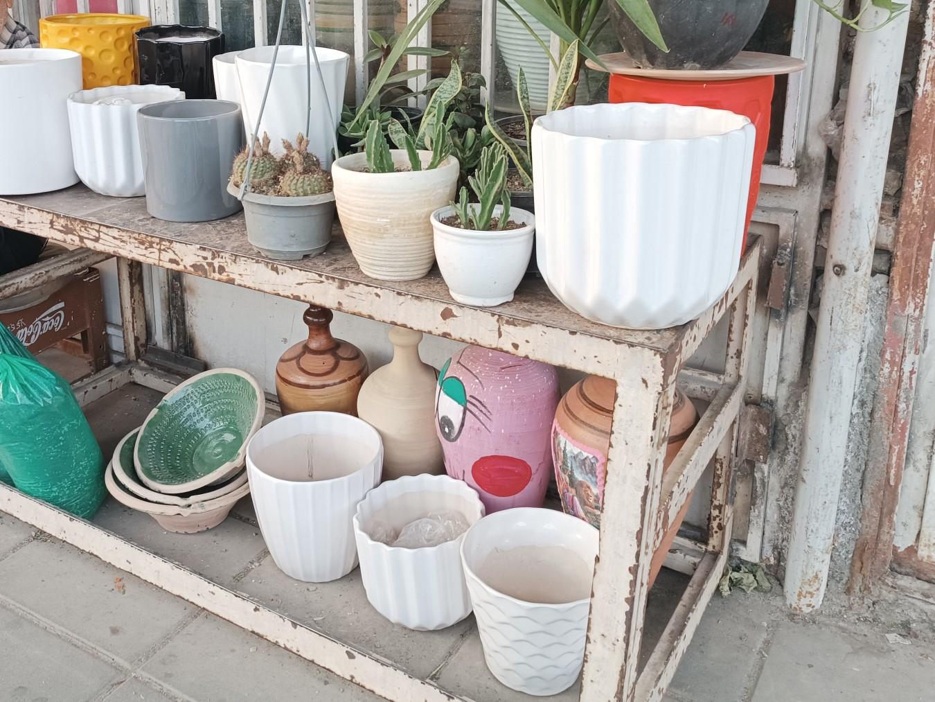 عکس گل و گلدان خدابخش