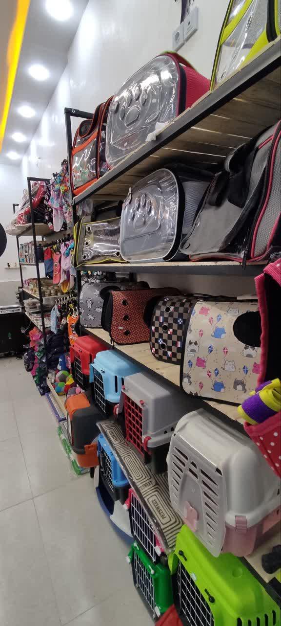 عکس پت شاپ دیاکو