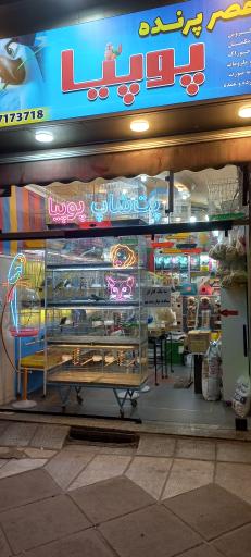 عکس قصر پت شاپ پوپیا