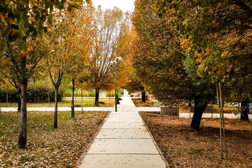 عکس دانشگاه بیرجند