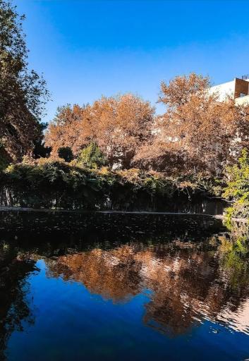 عکس بوستان طلوع